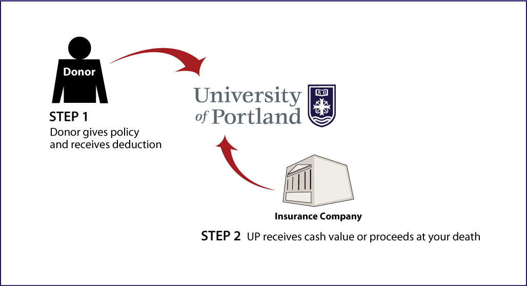 Life Insurance Policy Thumbnail